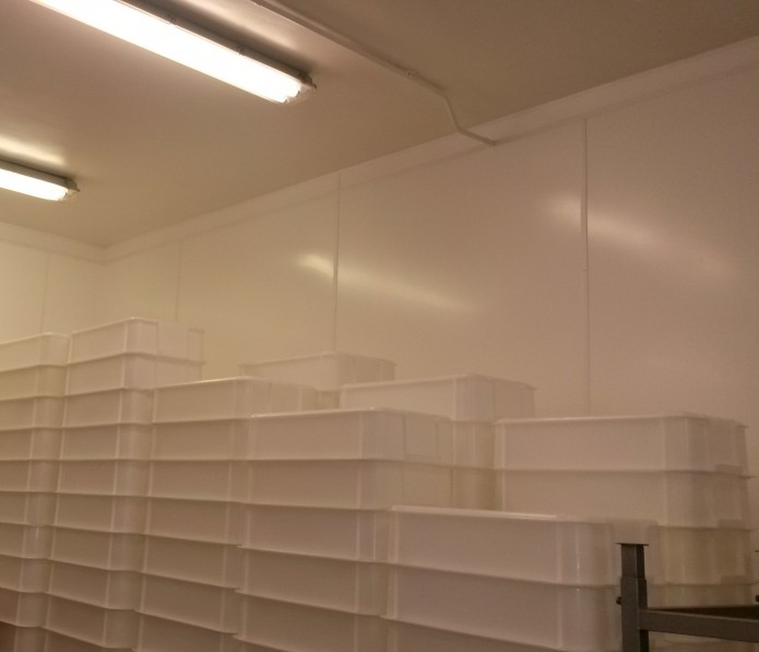 IPSL Wall Cladding