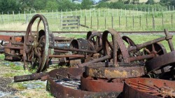 Health and Hygiene Down on the Farm